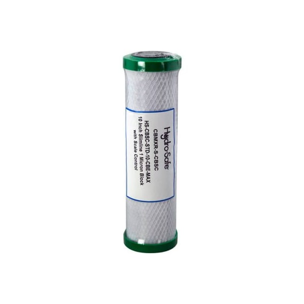 Allpoints 761381 Replacement Filter - Hs-Cbsc-Std-10-Cbe-Max For Dormont Mfg